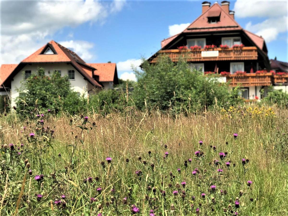 Hotel Zartenbach 欣特察尔滕 外观 照片